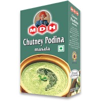 MDH CHATNI PODINA 100G